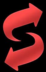 Small Skinswap company logo